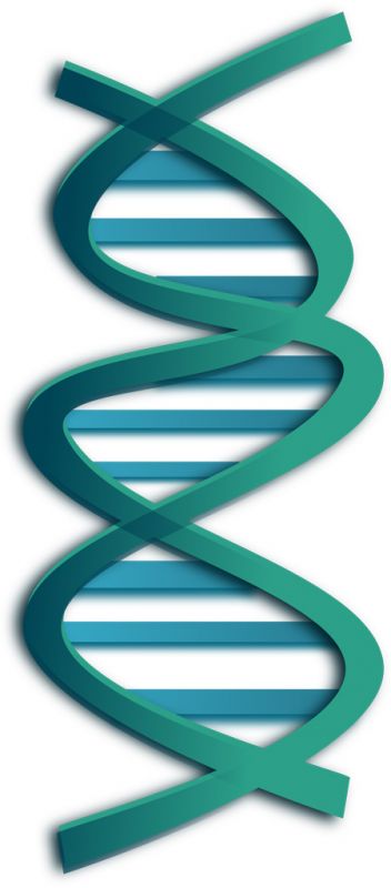 高分子学会